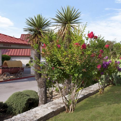 The image shows a landscaped area with palm trees, flowers, and shrubs in front of a building with a red roof and a wagon display.